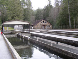 Walhalla Fish Hatchery